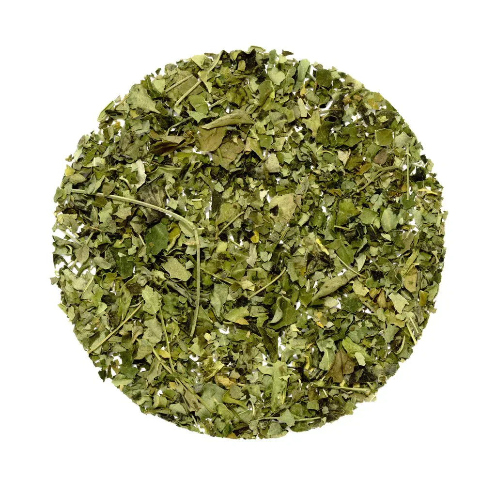 Organic Moringa Tea - Premium Wellness Tea from Feel Great Tea Co. - Just 900! Shop now at Feel Great Tea Co.