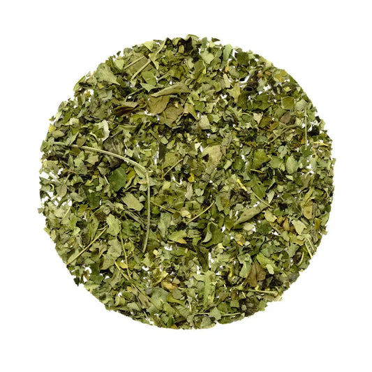 Organic Moringa Tea - Premium Wellness Tea from Feel Great Tea Co. - Just 900! Shop now at Feel Great Tea Co.